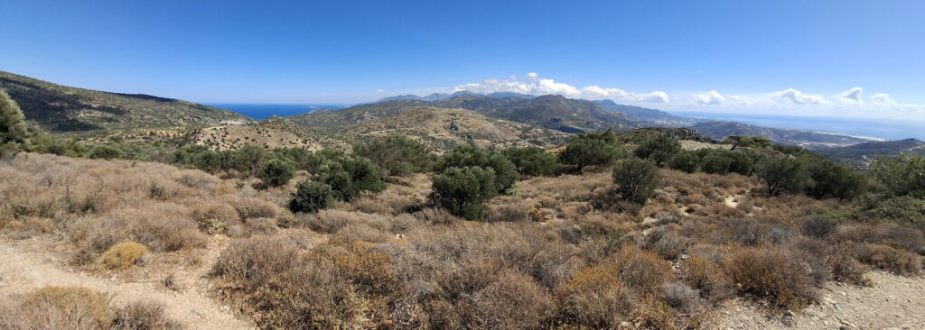 Alena Kopřiva Chadová1-2025