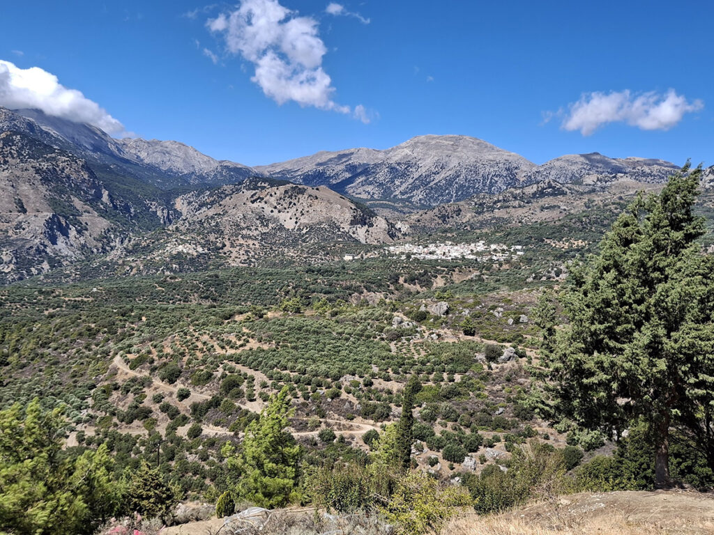 Alena Kopřiva Chadová2-2025